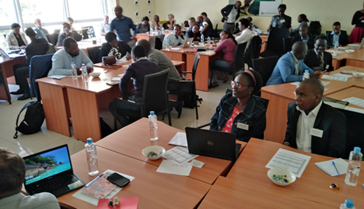 Renewable Energy Business and Practice Educational Program in Africa (REd)