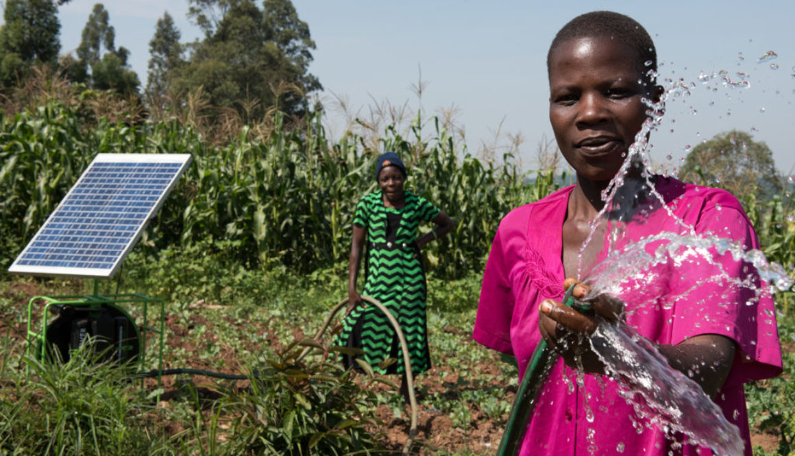 Stakeholders Virtual Meeting at UNCCD on “Land-Solar Plus”