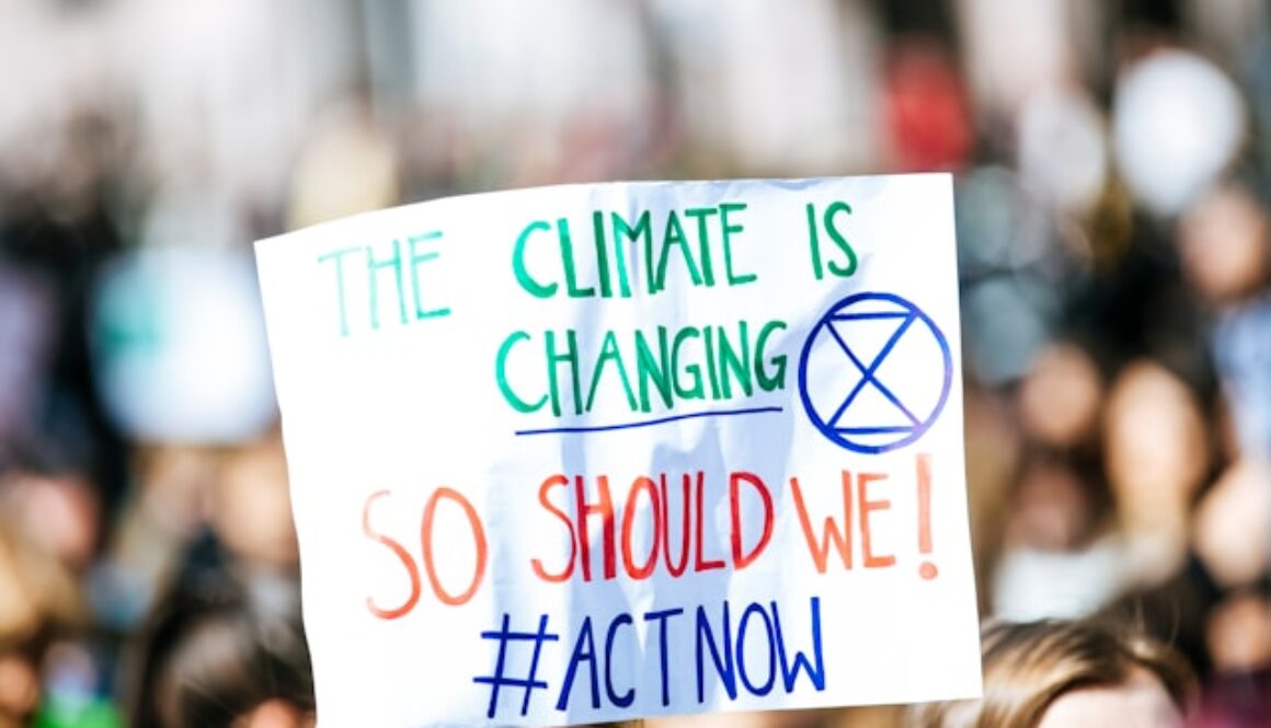 climate-change Prof Peter Droege initiates the Global Climate Geodesign Competition