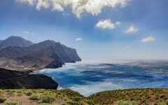 Scientific Advisory Board of the SDEWES2026 Conference on Sustainable Development of Energy, Water and Environment Systems