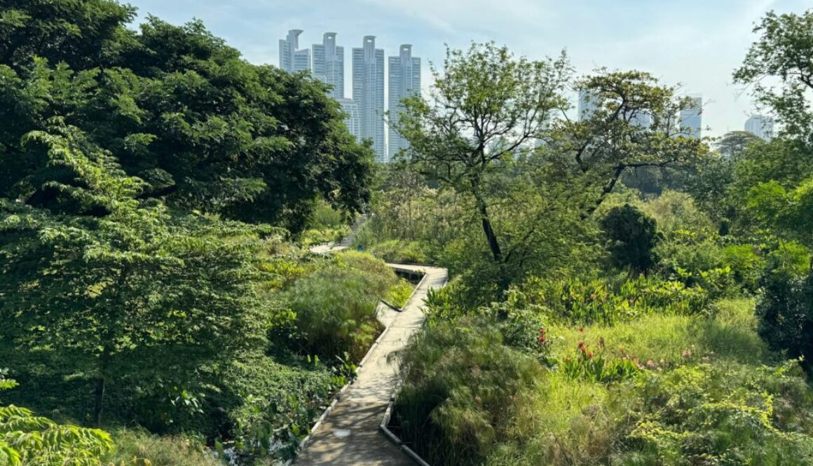 Bangkok Central Park, Credit: Anton Pavlov 2026 Global Climate Geodesign Competition Finalists